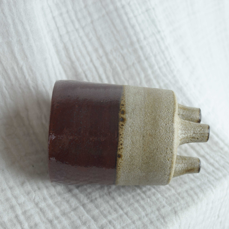 ROOIBOS ROOT - Image 2