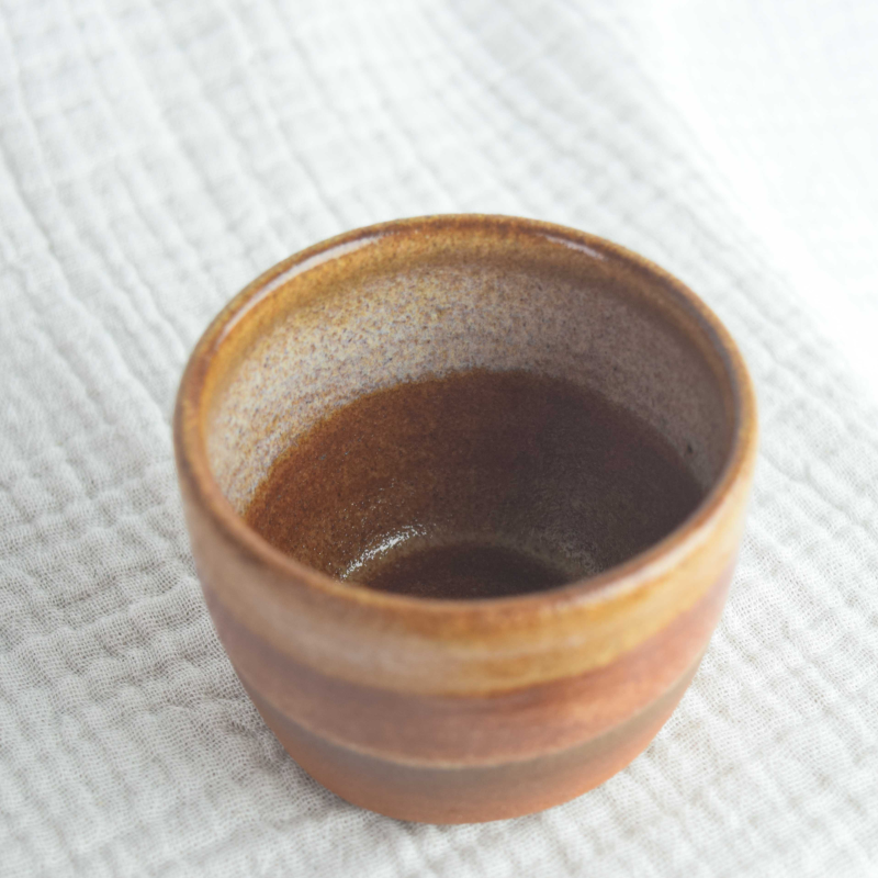 ANCIENT EARTH - Image 4